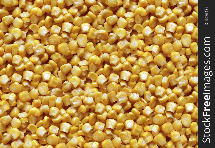 Golden corn granules texture background. Golden corn granules texture background