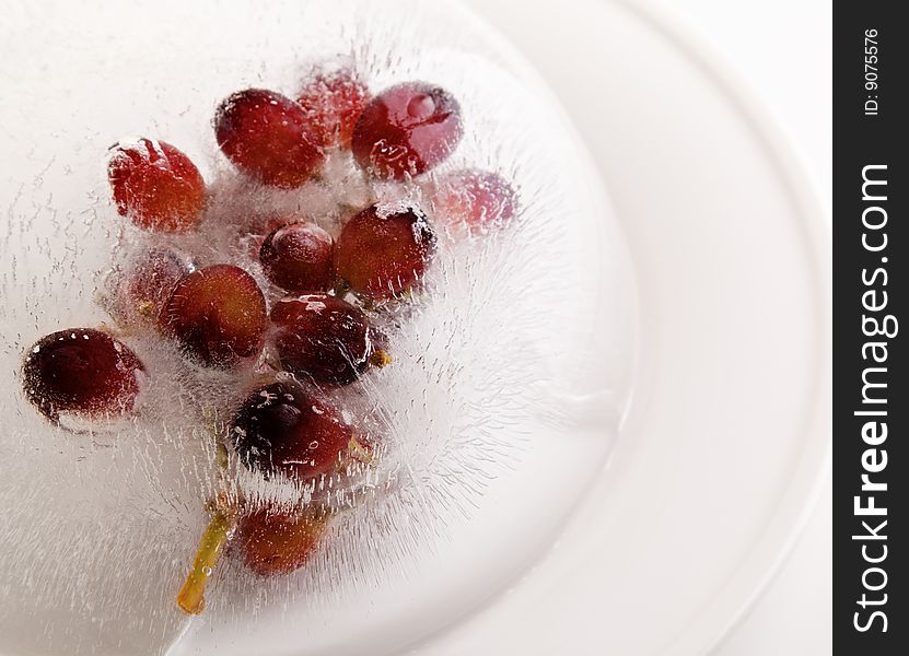 White Plate Grape Fruity Frozen