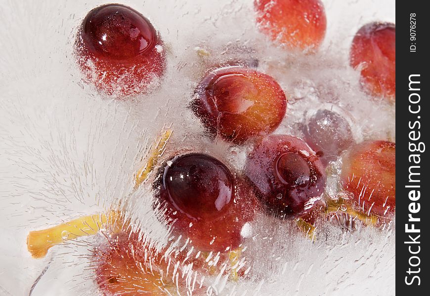 Grape fruit frozen in a ice block. Grape fruit frozen in a ice block