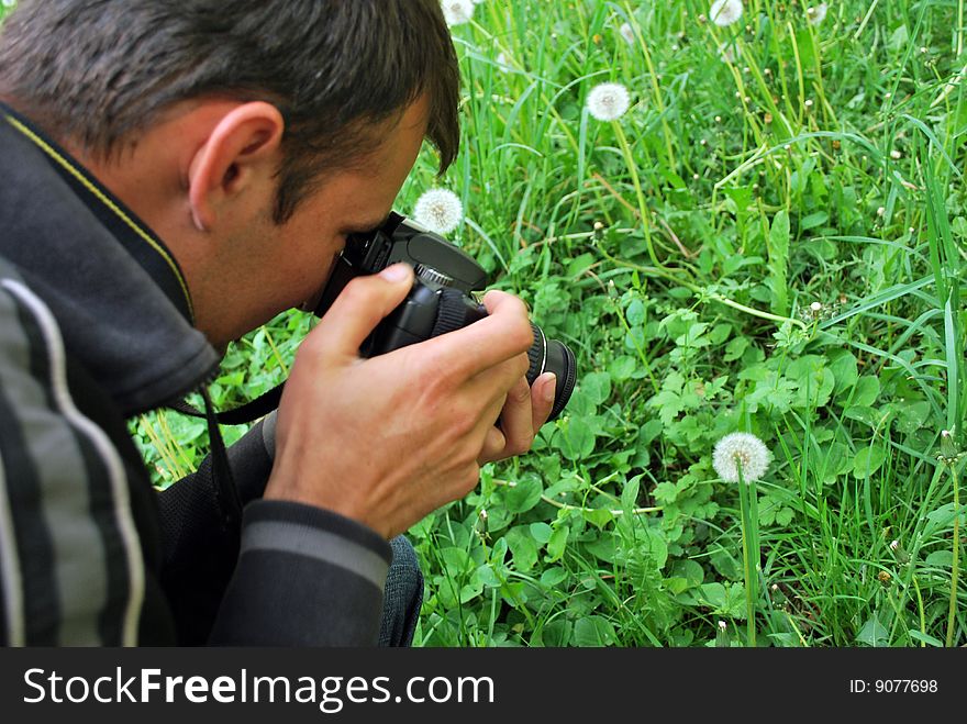 Photographer pointing his camera to several dandelions. Photographer pointing his camera to several dandelions