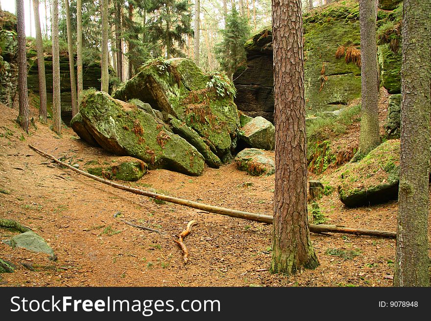 Stones and trees in czech forest