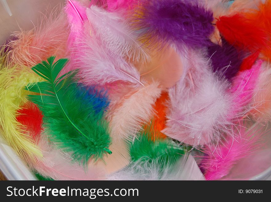 Pastel colored feathers mixed together. Pastel colored feathers mixed together