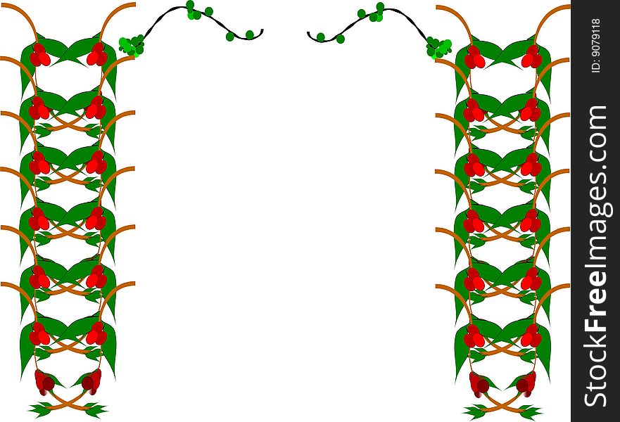 Elements for design using mistletoe on white. Elements for design using mistletoe on white