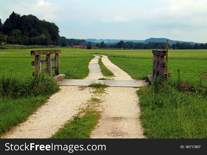 Path Through Green Meadow