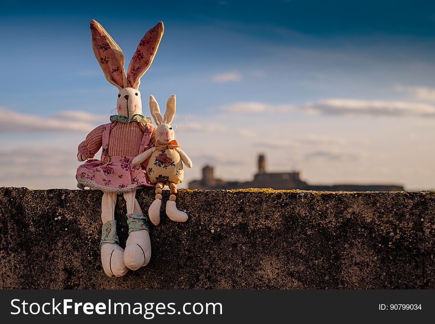 Sky, Rabits And Hares, Stock Photography
