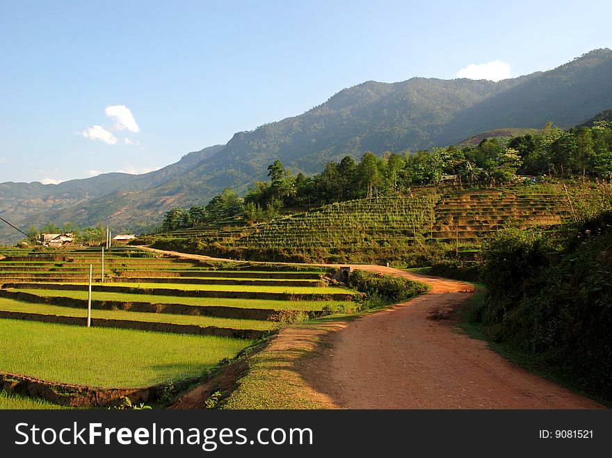 Mountain landsape in Sapa, Vietnam. Mountain landsape in Sapa, Vietnam