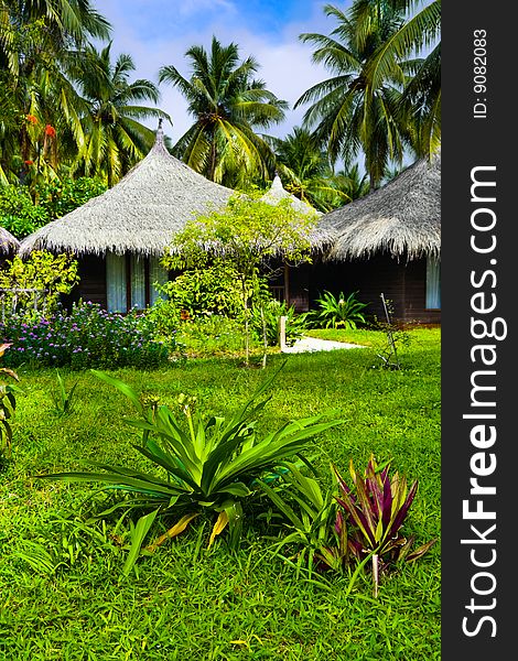 Bungalows and flowers - vacation background