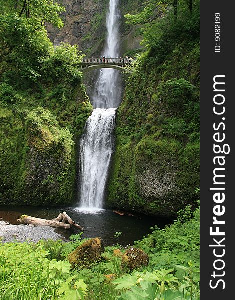 Multnomah Falls in the Columbia River Gorge area of Oregon. Multnomah Falls in the Columbia River Gorge area of Oregon.