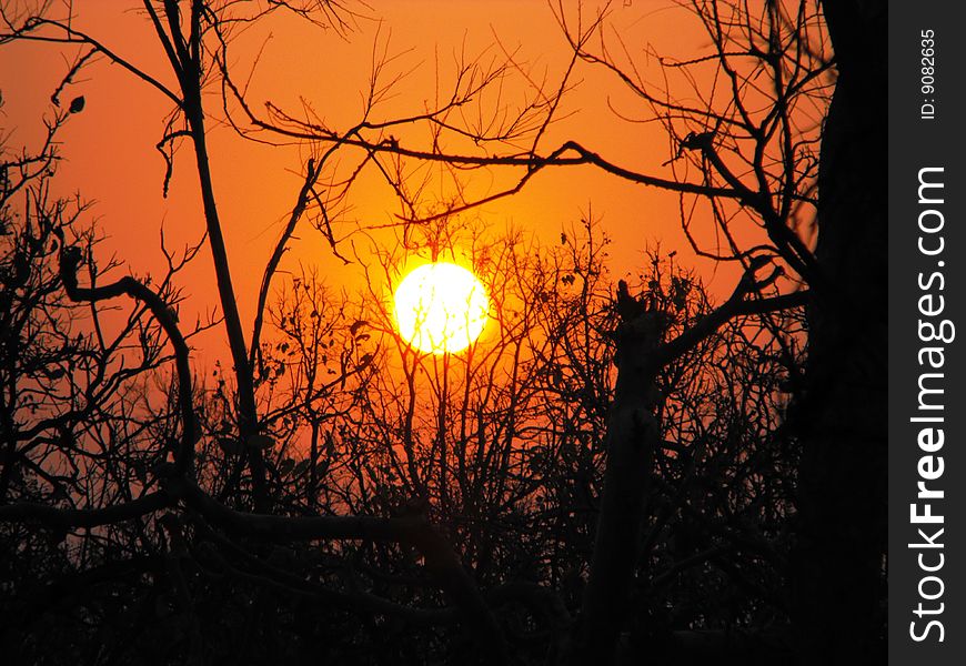 Pench Sunset