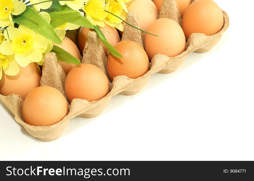 Eggs and yellow flowers isolated on white background