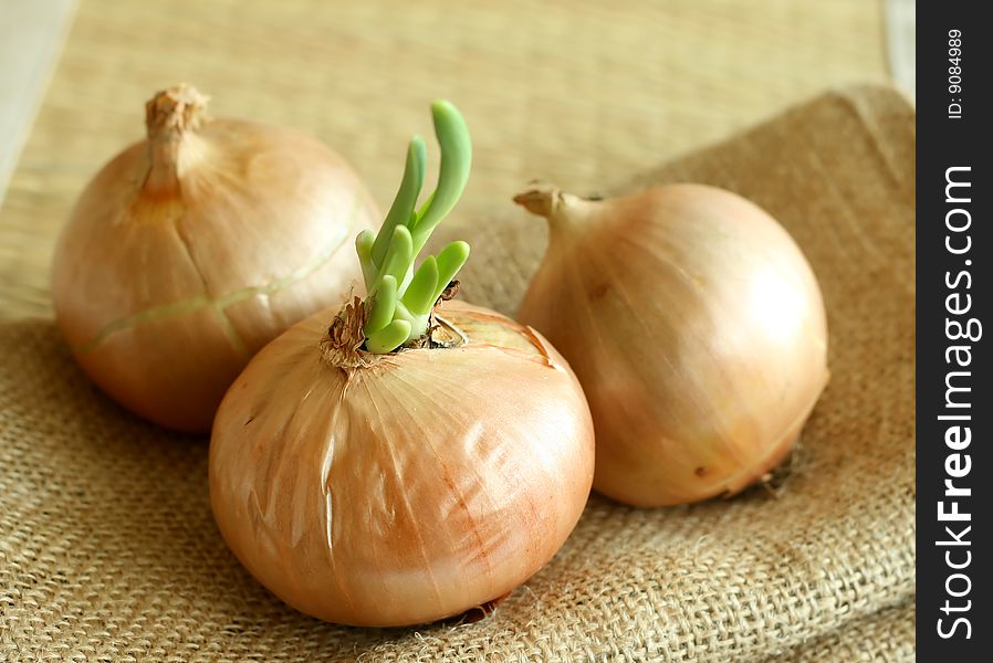 Onions on a sacking background, closeup, agriculture. Onions on a sacking background, closeup, agriculture