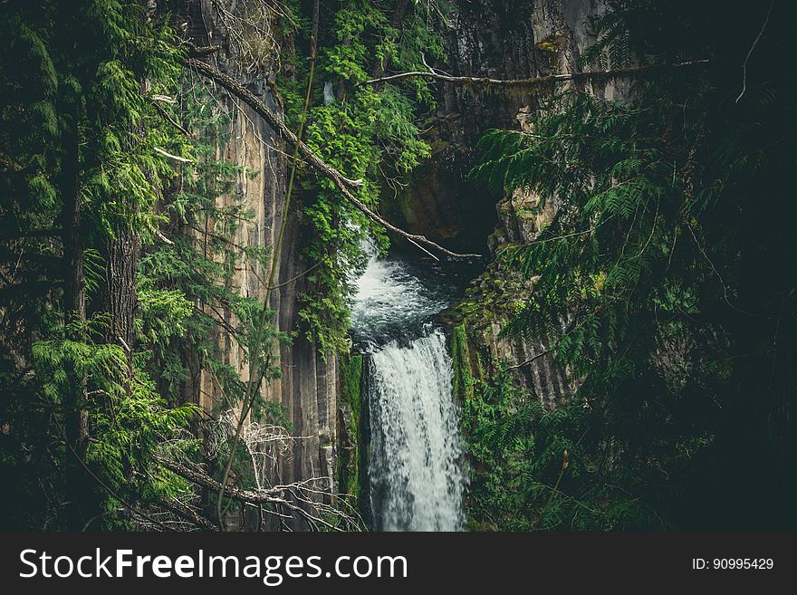 Waterfall In Jungle