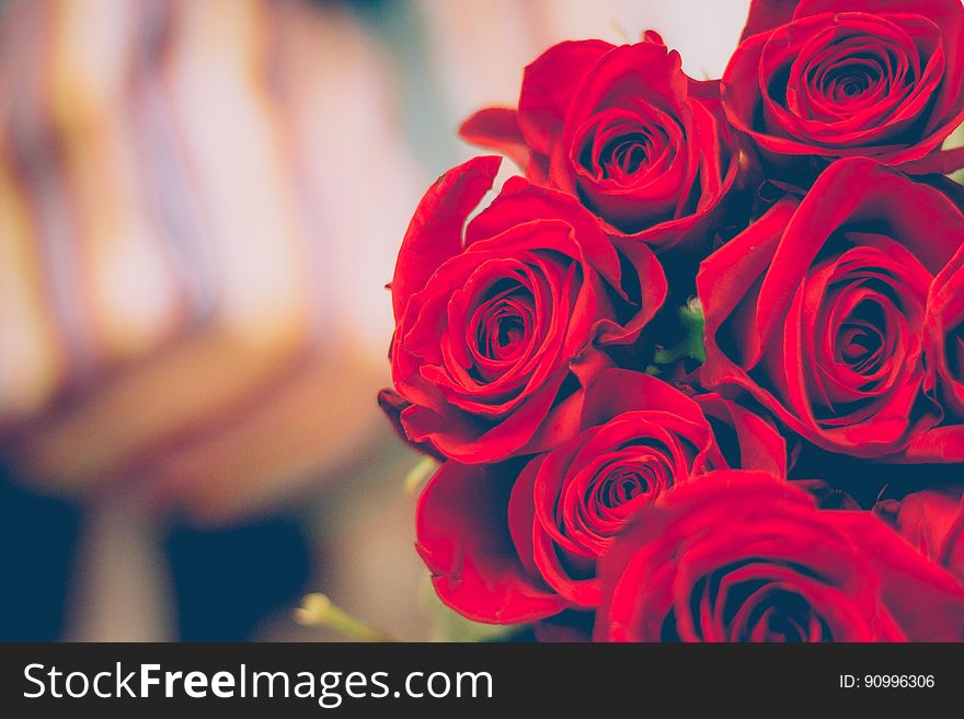 A close up of a bouquet of red roses. A close up of a bouquet of red roses.