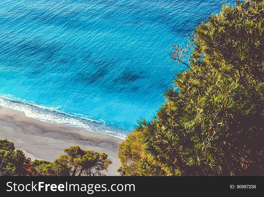 Aerial view of seashore along sandy beach over tree tops on sunny day.