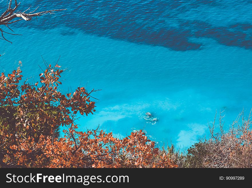 Aerial view of blue waters over tree tops on sunny day.