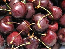 Cherry Red Royalty Free Stock Images