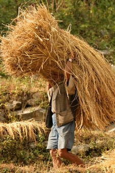 Working Man Royalty Free Stock Photography Working Man Royalty Free Stock Photography