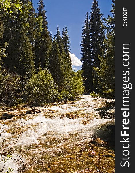 Rushing Mountain Stream