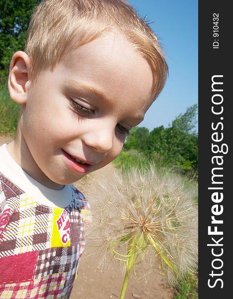 Child Looking At Big Blowball.