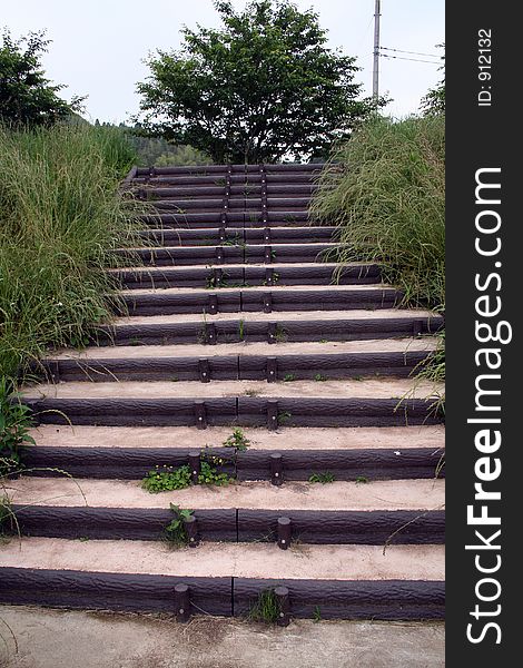 Concrete stairs with wood in the nature