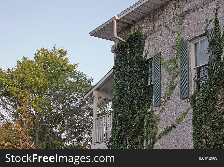 Ivy covered coastal cottage. Ivy covered coastal cottage