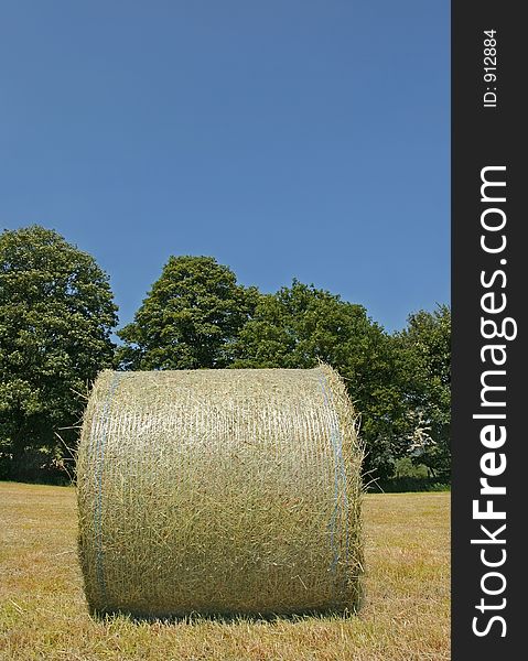 Wrapped organic hay bale standing in a field in summer, with trees and a blue sky to the rear. Wrapped organic hay bale standing in a field in summer, with trees and a blue sky to the rear.