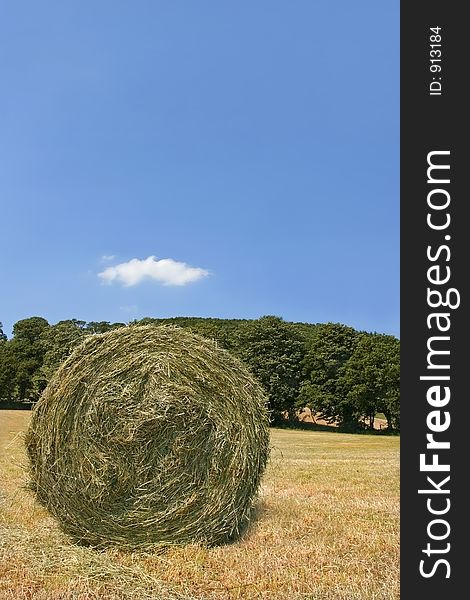 Circular organic hay bale, standing in a field in summer, with trees and a blue sky to the rear. Circular organic hay bale, standing in a field in summer, with trees and a blue sky to the rear.