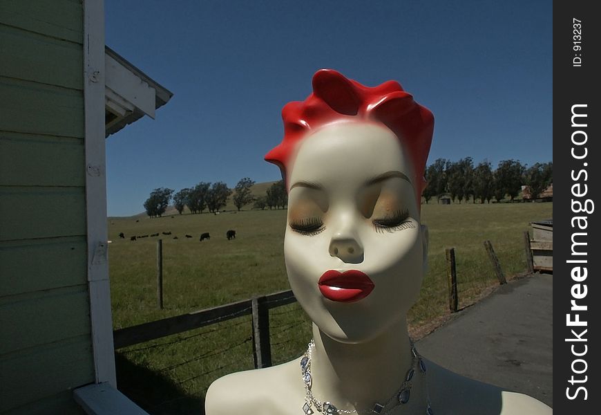 A ruby-lipped shop mannequin waits for a kiss while cows graze in the background. A ruby-lipped shop mannequin waits for a kiss while cows graze in the background.