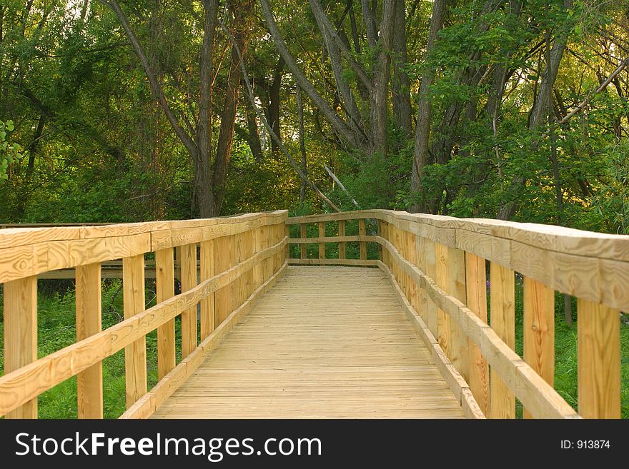 Wooden path on a nature trail