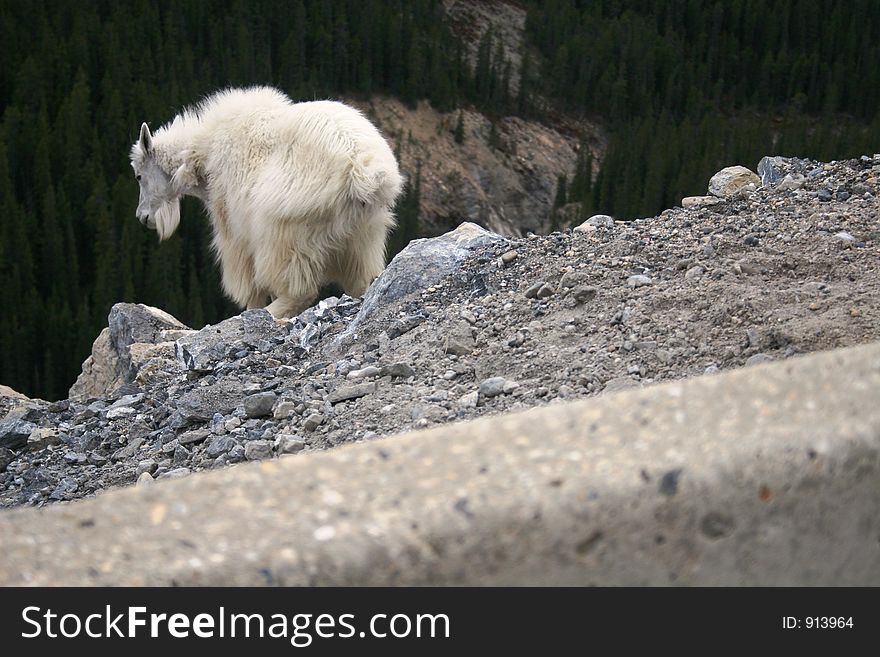 Facing the chasm of a mountain drop of thousands of feet. Facing the chasm of a mountain drop of thousands of feet