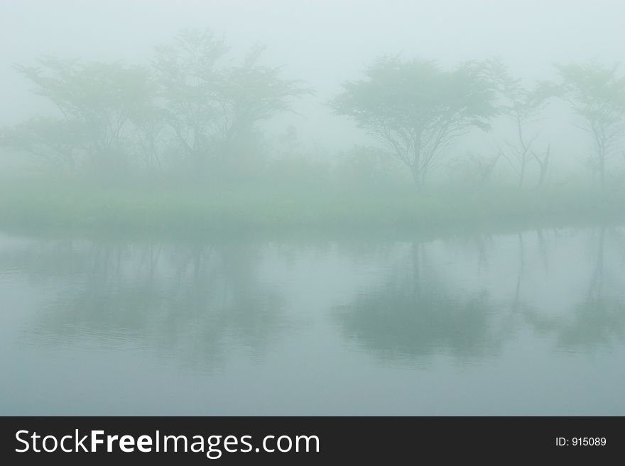 The reflections of trees in a lake shrouded in mist. The reflections of trees in a lake shrouded in mist