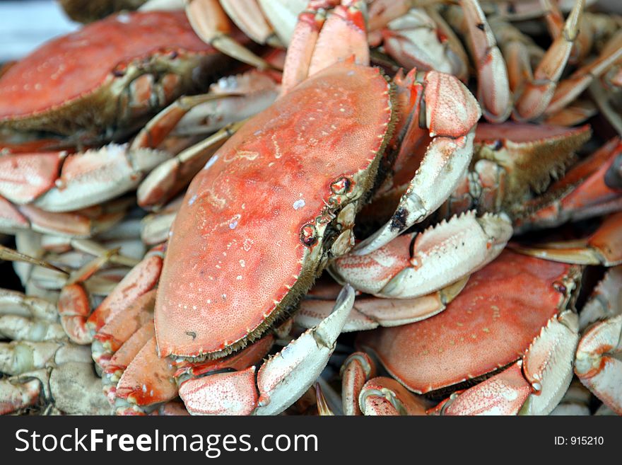 Fresh crabs â€“ closeup