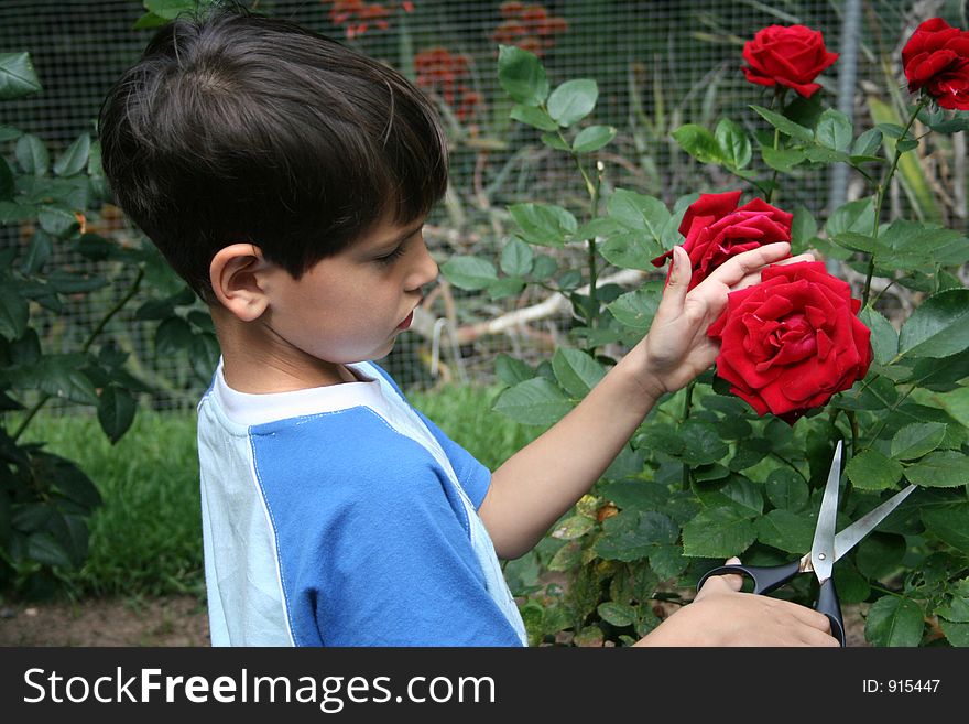 Boy and red roses