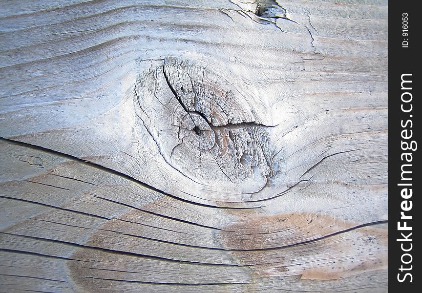 This is a tree plank on a landing stage. The wood has cracked and made the texture of the plank more appearant.