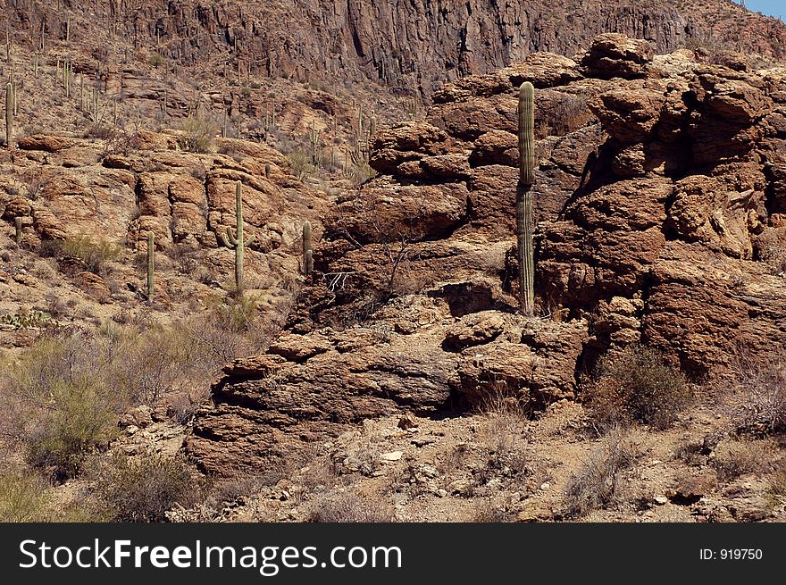 Rocky desert near Tucson Mountain. Rocky desert near Tucson Mountain