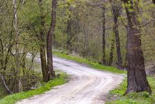 Forest Road Royalty Free Stock Images Forest Road Royalty Free Stock Images