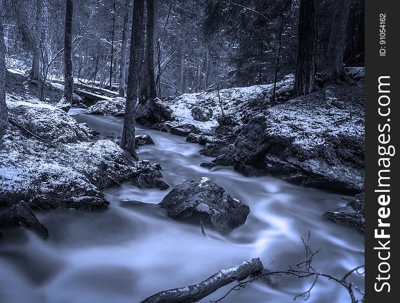 Creek In Snowy Forest