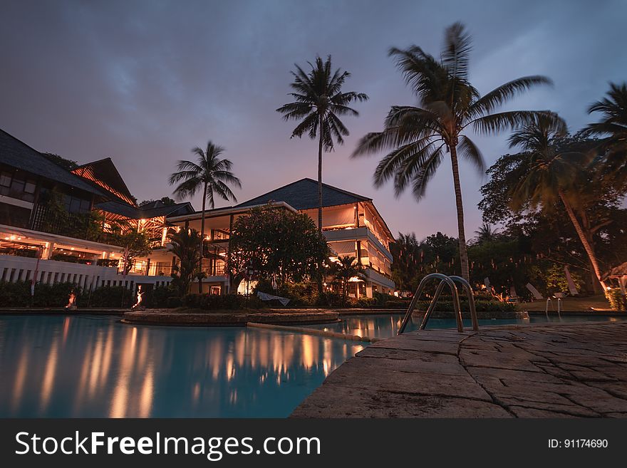 Palm Trees At Night