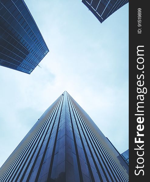 Tall modern office buildings from a low angle. Tall modern office buildings from a low angle.