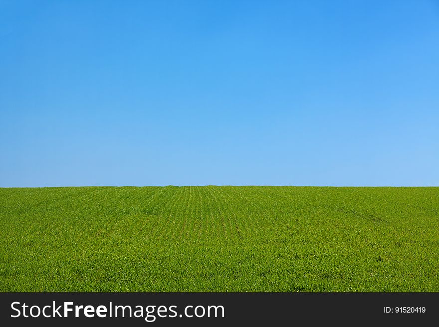 Green Grass Field Under Blue Sky