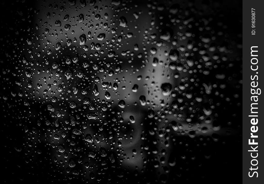 A spiderweb with drops of water caught on it. A spiderweb with drops of water caught on it.