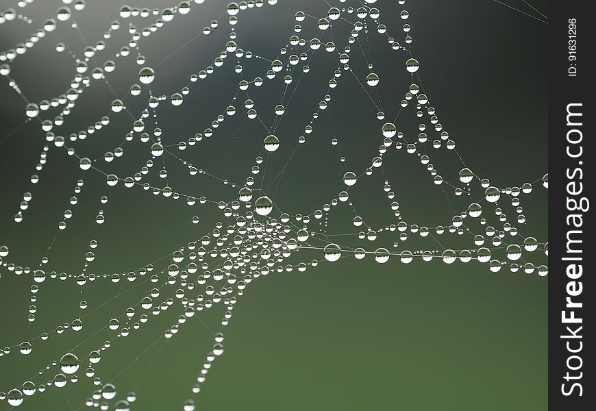 A close up of a spiderweb with raindrops.