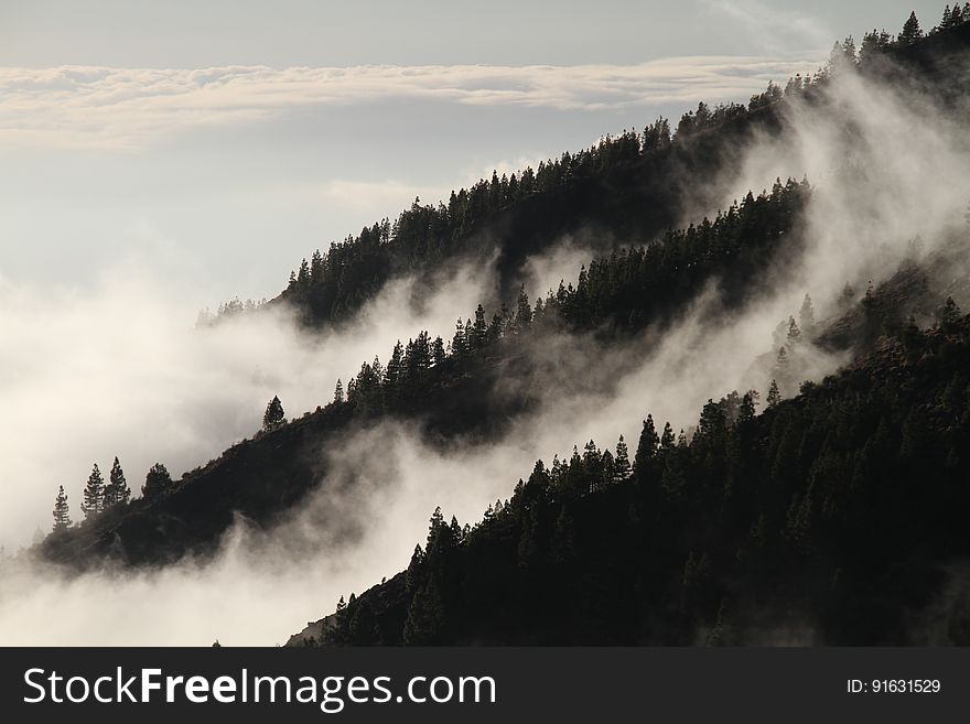 Sky, Cloud, Fog, Mountainous Landforms