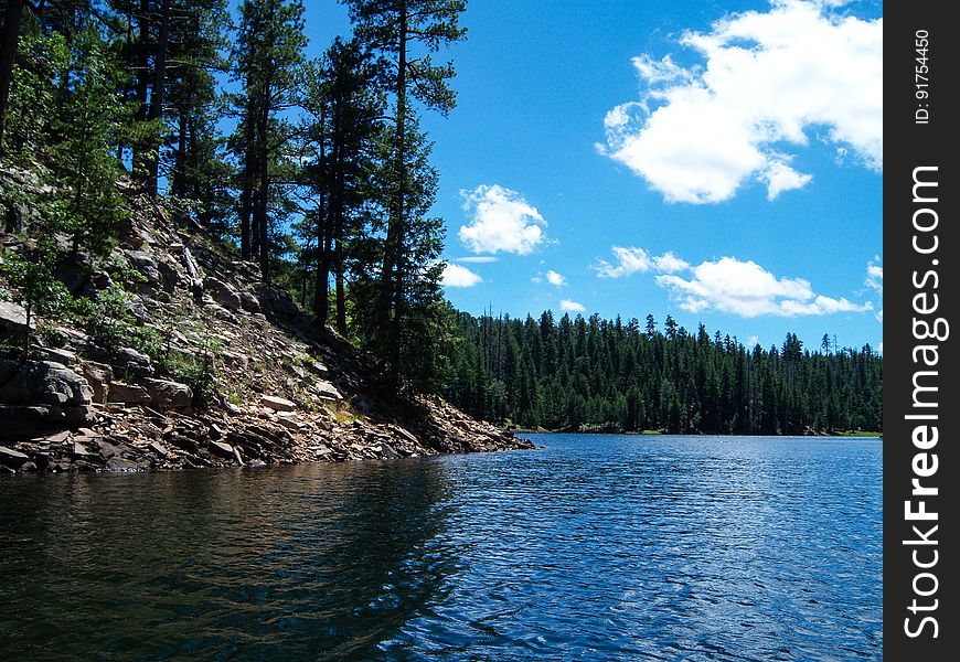 This secluded forest lake is surrounded by ponderosa pines, with a picturesque island in the center. Knoll Lake provides a scenic setting for picnicking, fishing, canoeing, and other activities. The nearby campground, trails, and Mogollon Rim make Knoll Lake a peaceful getaway with plenty to see and do. Photo by Deborah Lee Soltesz, August 2010. Credit: U.S. Forest Service, Coconino National Forest. For more information, visit Knoll Lake on the Coconino National Forest website.