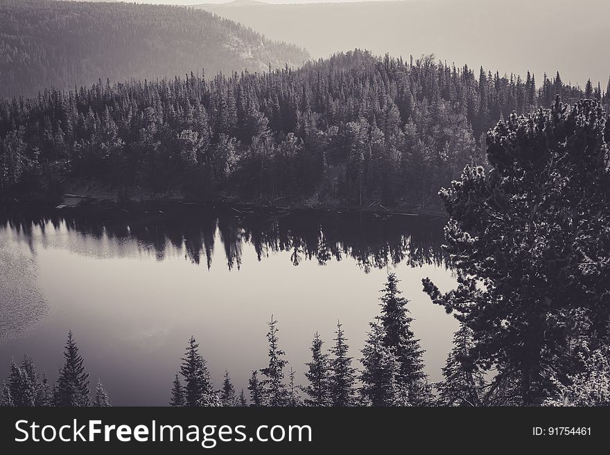 Lake Surrounded By Forests