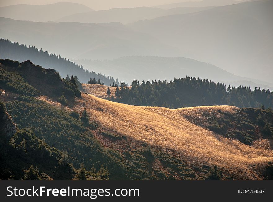 Landscape With Hills And Forests