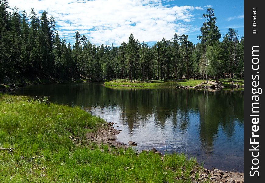 This secluded forest lake is surrounded by ponderosa pines, with a picturesque island in the center. Knoll Lake provides a scenic setting for picnicking, fishing, canoeing, and other activities. The nearby campground, trails, and Mogollon Rim make Knoll Lake a peaceful getaway with plenty to see and do. Photo by Deborah Lee Soltesz, August 2010. Credit: U.S. Forest Service, Coconino National Forest. For more information, visit Knoll Lake on the Coconino National Forest website.