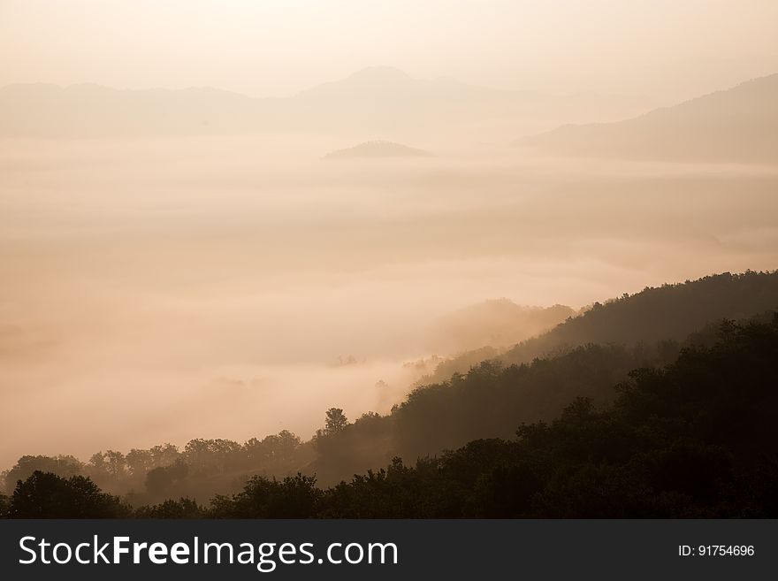 Hazy Forest Above Clouds