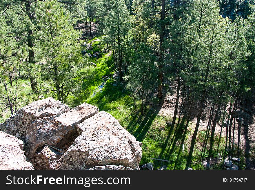 Griffithâ€™s Spring is a shaded and peaceful one-mile loop trail that is close to Flagstaff and is an excellent example of a riparian habitat. James Griffith was a Civil War veteran that came west to homestead in the late 1800â€™s. The spring was part of the homestead which consisted of over 160 acres of diverse countryside. Photo by Deborah Lee Soltesz, June 2015. Credit: U.S. Forest Service, Coconino National Forest. For more information about this trail, see the Griffith Spring No. 189 trail description on the Coconino National Forest website. Griffithâ€™s Spring is a shaded and peaceful one-mile loop trail that is close to Flagstaff and is an excellent example of a riparian habitat. James Griffith was a Civil War veteran that came west to homestead in the late 1800â€™s. The spring was part of the homestead which consisted of over 160 acres of diverse countryside. Photo by Deborah Lee Soltesz, June 2015. Credit: U.S. Forest Service, Coconino National Forest. For more information about this trail, see the Griffith Spring No. 189 trail description on the Coconino National Forest website.