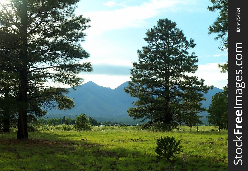 View of San Francisco Peaks from Old Caves Crater north trailhead on the landfill road. Photo by Deborah Lee Soltesz, August 2015. Credit: U.S. Forest Service, Coconino National Forest. For more information about this trail, see the Old Caves Crater trail description on the Coconino National Forest website.